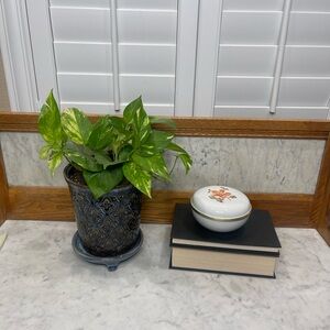 Antique Rosenthal Selb Germany Porcelain Jewelry Box